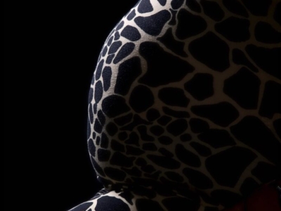 MATERNITY